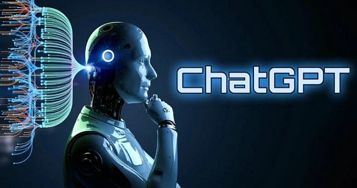 Phản hồi từ luật sư