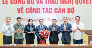 Chi tiết bổ nhiệm